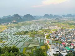 -会仙湿地