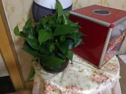 -本真坊美容美体沙龙