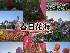 -厦门园林博览苑