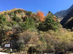 -叠溪松坪沟景区