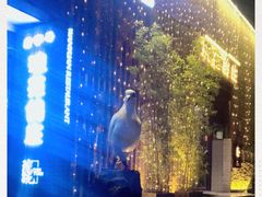 -琬苑鸽庄·川粤融合菜(解放碑总店)