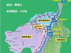 -汤旺河林海奇石景区
