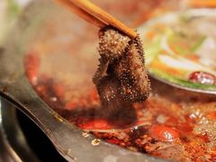 -枇杷园食为鲜火锅(南山店)