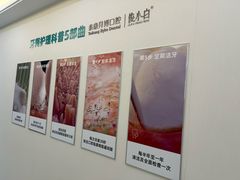 -泰康拜博口腔医院(海曙店)