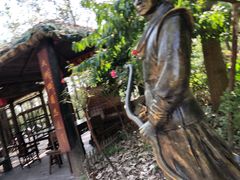 -合肥滨湖国家森林公园