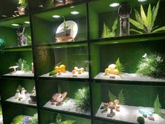 -慢丽江·云南野生菌土鸡锅(西山店)