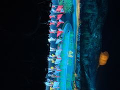 -鼎盛王朝康熙大典实景演出