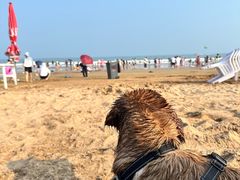 -青岛第三海水浴场