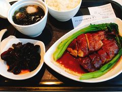 黄金脆皮烧鸭饭-百事佳烧鸭牛腩(上海虹桥站店)