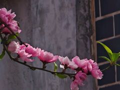 -北京邮电大学