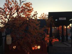 -Blue Concept Cafe&Farm·關於藍