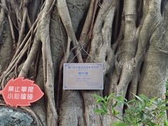 -八卦楼风琴博物馆