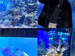 -左海海底世界
