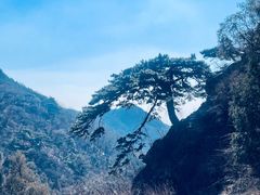 -泰山风景名胜区