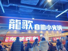 -龍歌自助小火锅(市北CBD万达店)