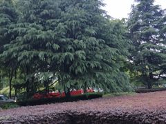 -中南财经政法大学(首义校区)