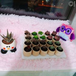 -LJ nail日式美甲工作室