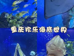 -重庆欢乐海底世界