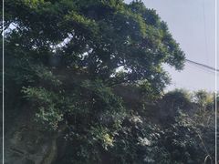 -寻龙山风景旅游区