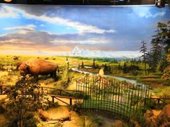 -陕西自然博物馆