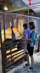 -酷嗒动物文化乐园(cutezoo西溪乐天城店)