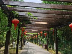 -九龙潭景区