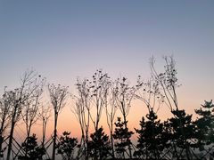 -海平馄饨(逍遥二路店)