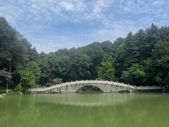 -铁山坪森林公园