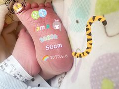 -上海市第一人民医院(松江南部)