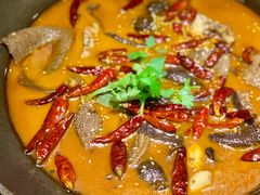 小嫩蛙爱上脆毛肚-马头巷·食景园(苏州总店)