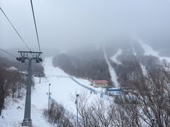 -亚布力新体委滑雪场