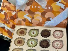 -Laderach 莱德拉(上海环贸iapm店)