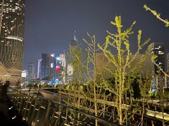 -南京眼步行桥