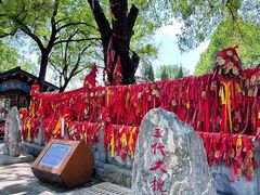 -大槐树寻根祭祖园