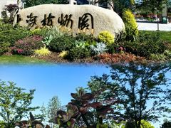 -上海植物园-4号门售票处