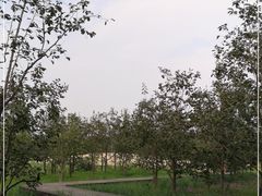 -东郊湿地公园