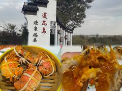 -莲花岛景区
