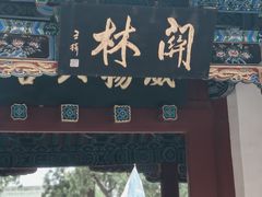 -关林