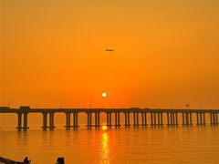 -宝安西湾红树林湿地公园