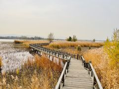 -野鸭湖国家湿地公园