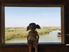 -九又四分之三站台哈利波特商店