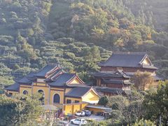 -树山生态村