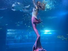 -太平洋海底世界