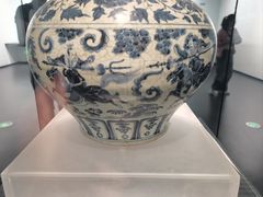 -广西壮族自治区博物馆