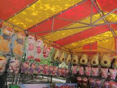 -朝阳公园游乐园