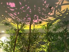 -施奈儿.洗头頭療.按摩SPA.采耳(上梅林店)