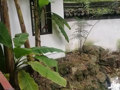 -秋霞圃