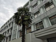 -上海市科技艺术教育中心