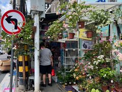 -溪岸路花鸟市场