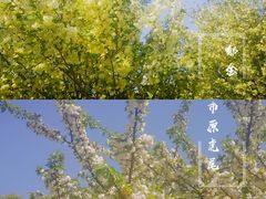 -江南大学(蠡湖校区)